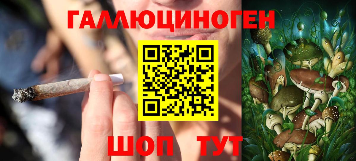 Псилоцибиновые грибы GOLDEN TEACHER  Вход с VPN  Камышлов 
